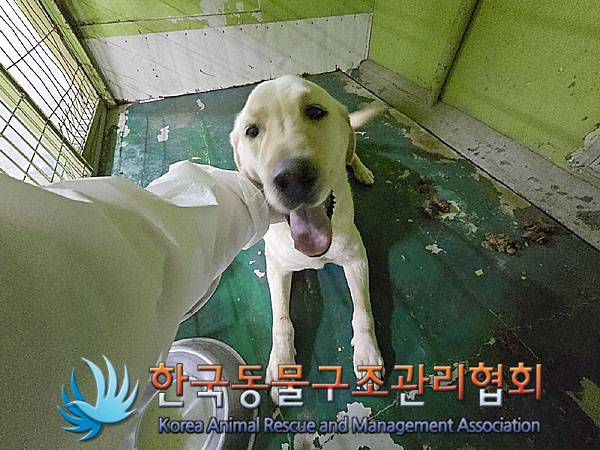 한국동물구조관리협회_441559202300409